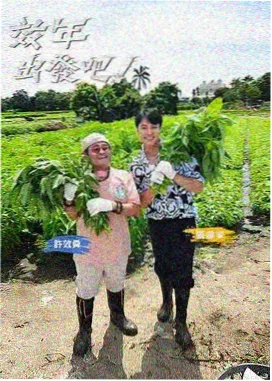 奔跑吧12 综艺节目免费在线看